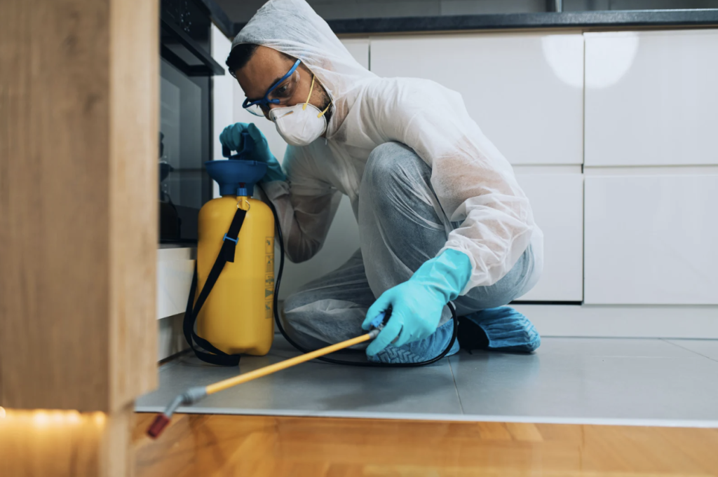 شركة رش مبيدات بالدمام | شركة امواج كلين