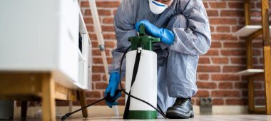 شركة مكافحة النمل الأبيض بالدمام | شركة امواج كلين