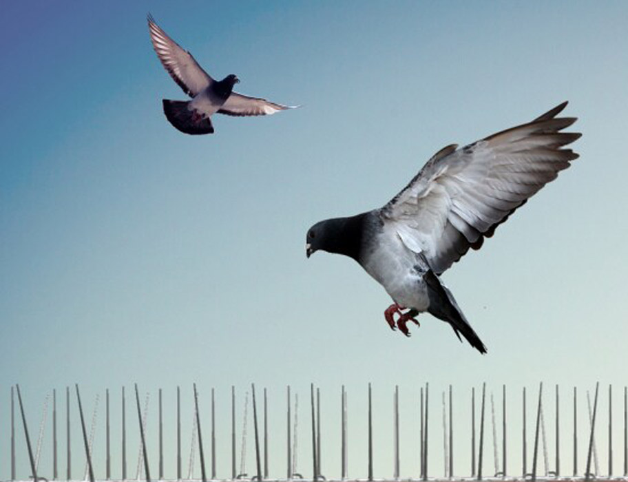 شركة تركيب طارد بالدمام والخبر والقطيف والظهران | شركة امواج كلين