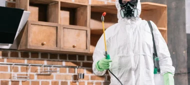 شركة مكافحة حشرات بالدمام والخبر والقطيف والظهران | شركة امواج كلين