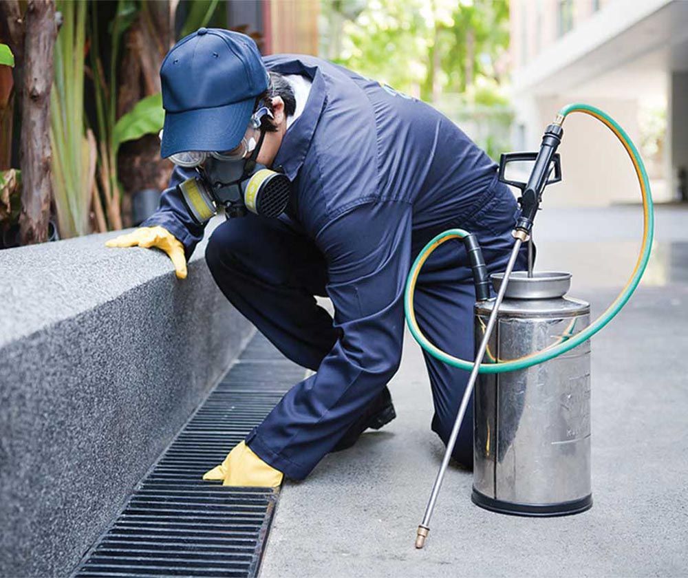 شركة رش مبيدات بالدمام والخبر والقطيف والظهران | شركة امواج كلين