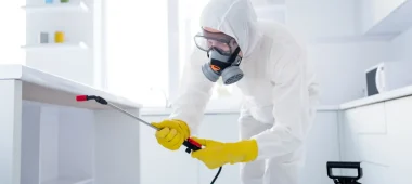 شركة مكافحة الصراصير بالدمام | شركة امواج كلين