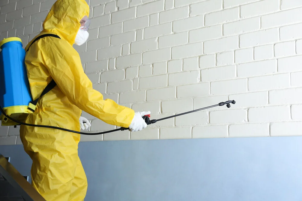 شركة رش دفان بالدمام | شركة امواج كلين