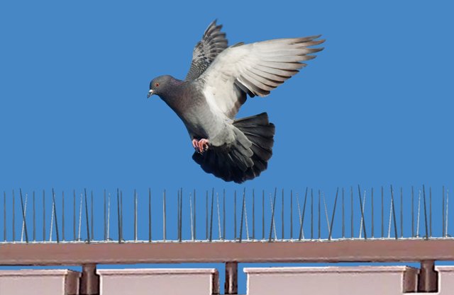 شركة تركيب طارد بالدمام والخبر والقطيف والظهران | شركة امواج كلين