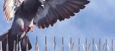 شركة تركيب طارد حمام بالدمام | شركة امواج كلين