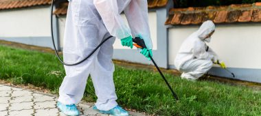 شركة رش مبيدات بالدمام والخبر والقطيف والظهران | شركة امواج كلين